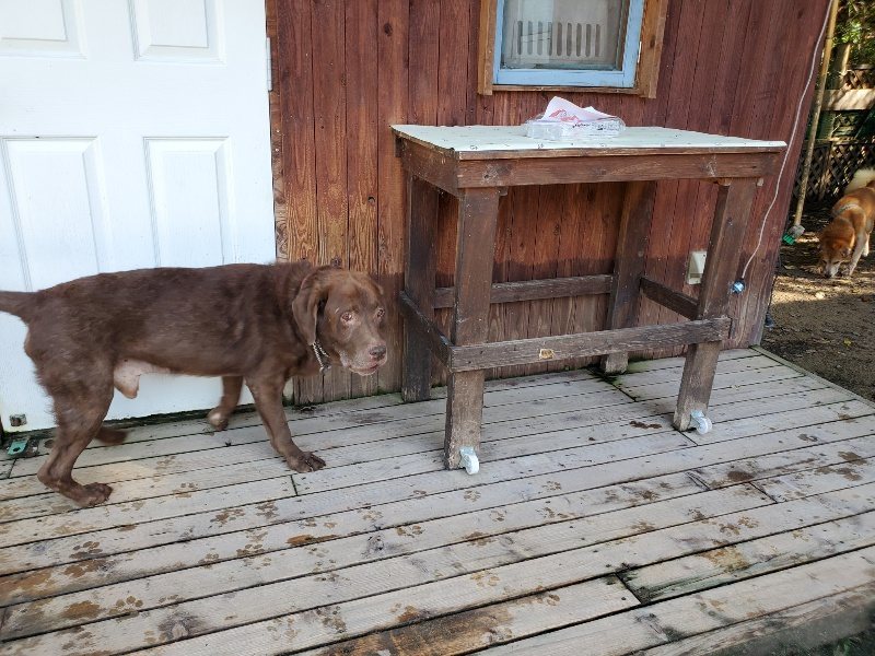 f:id:roukenhome-ann:20190907195804j:plain