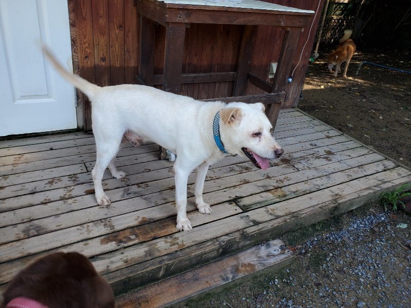 f:id:roukenhome-ann:20190907195809j:plain