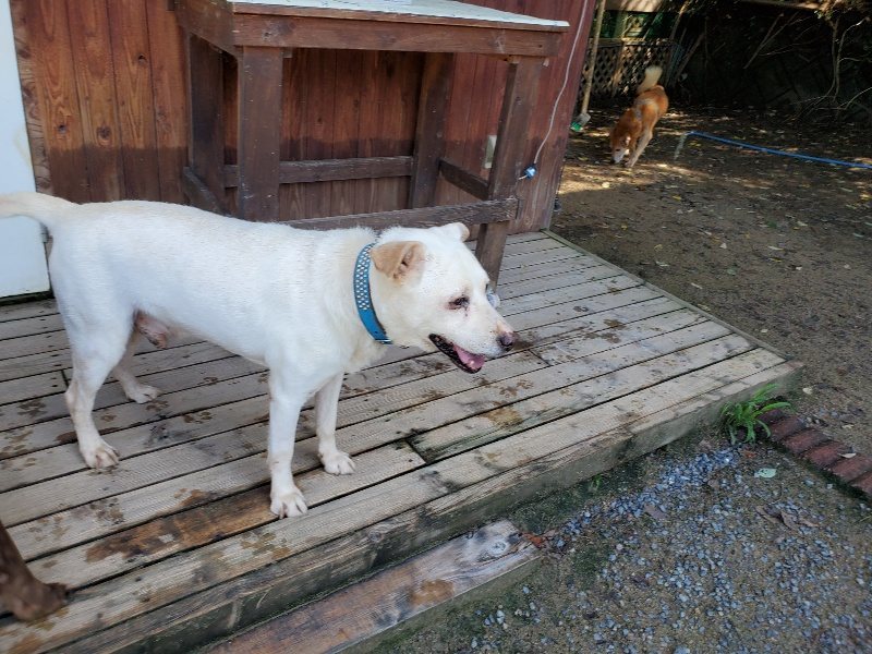 f:id:roukenhome-ann:20190907195816j:plain