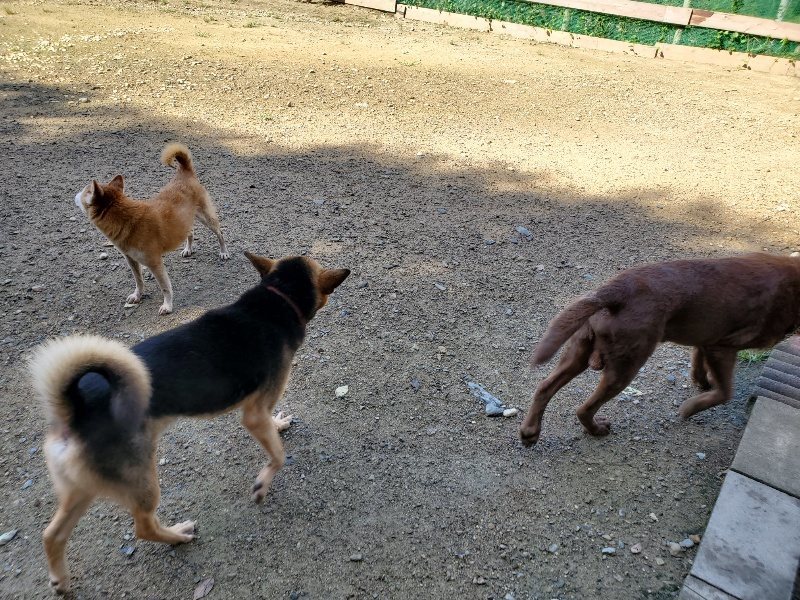 f:id:roukenhome-ann:20190907195824j:plain
