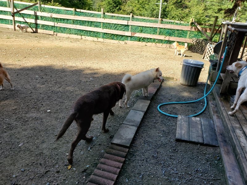 f:id:roukenhome-ann:20190907195834j:plain