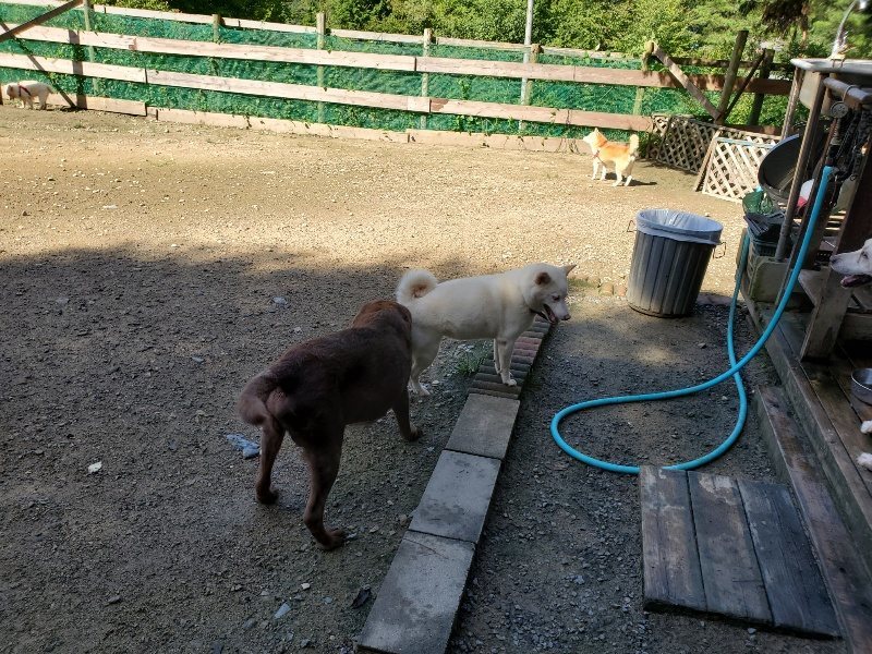 f:id:roukenhome-ann:20190907195843j:plain