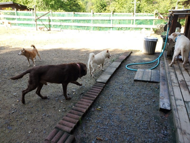 f:id:roukenhome-ann:20190907195850j:plain