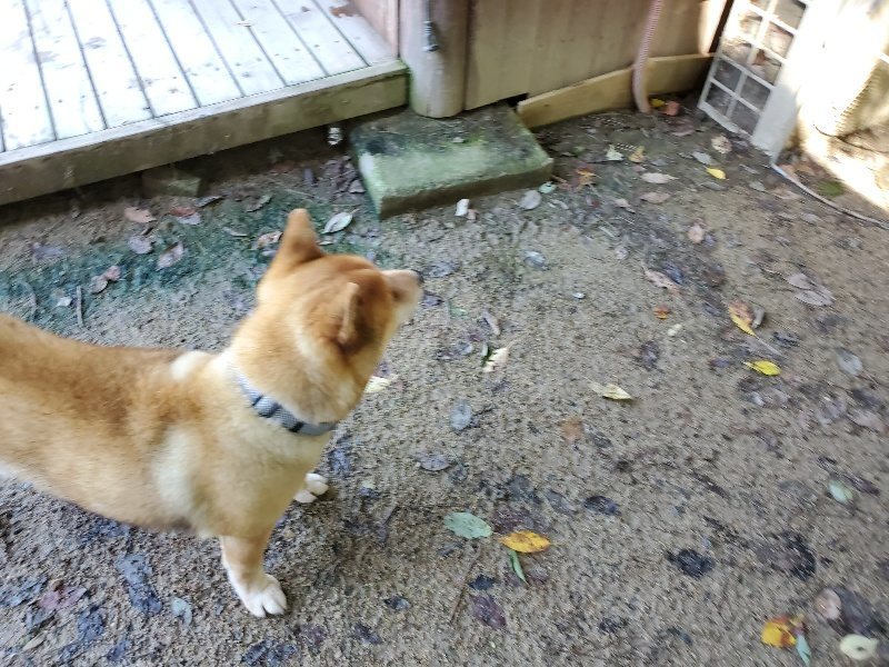 f:id:roukenhome-ann:20190907195856j:plain