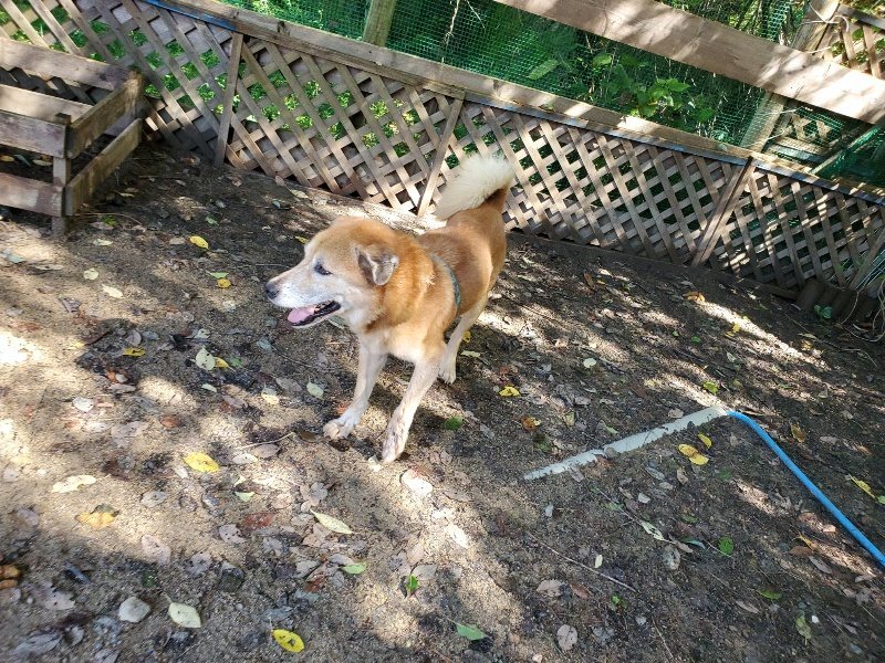 f:id:roukenhome-ann:20190907195905j:plain