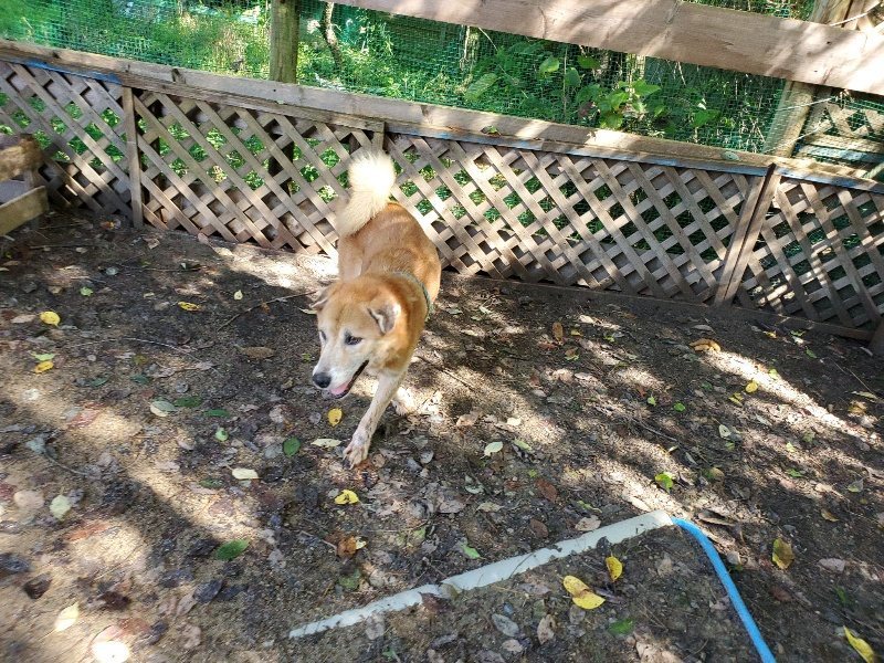 f:id:roukenhome-ann:20190907195913j:plain
