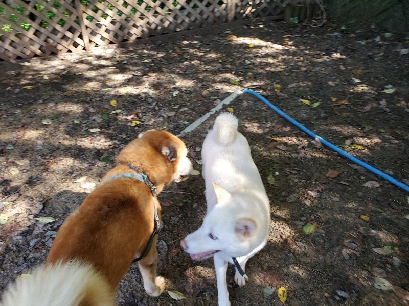 f:id:roukenhome-ann:20190907195932j:plain