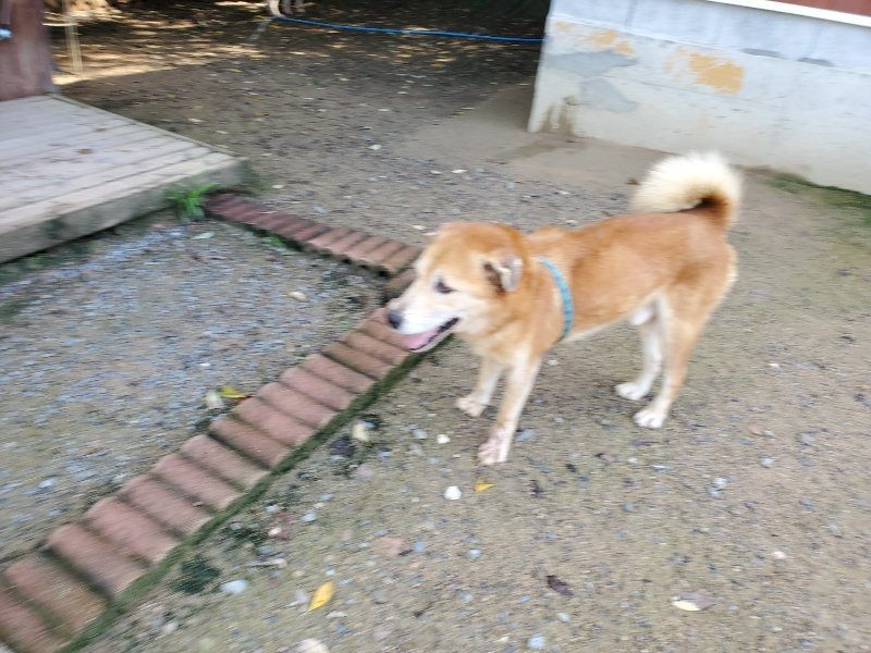 f:id:roukenhome-ann:20190907200131j:plain