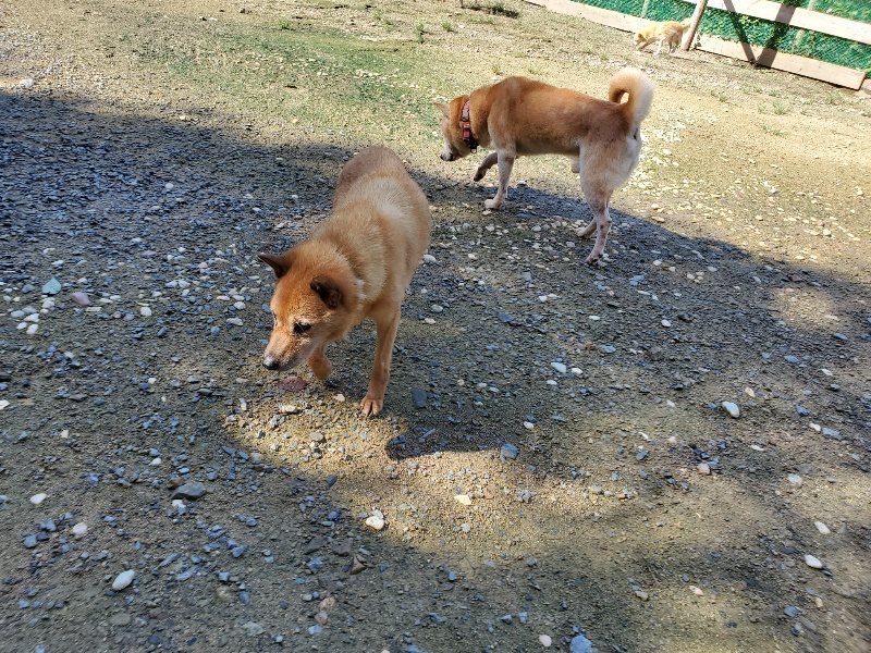 f:id:roukenhome-ann:20190907200306j:plain