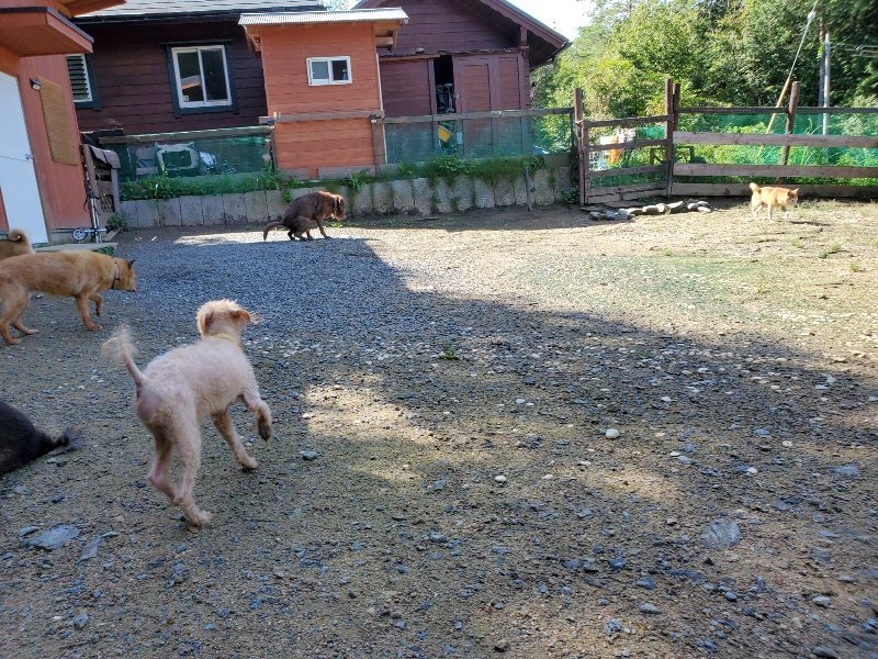 f:id:roukenhome-ann:20190907200343j:plain