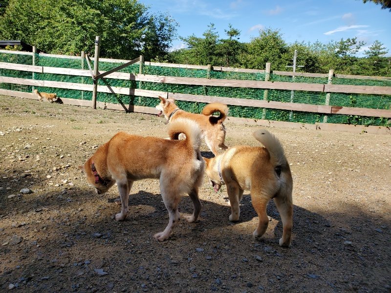 f:id:roukenhome-ann:20190907200351j:plain