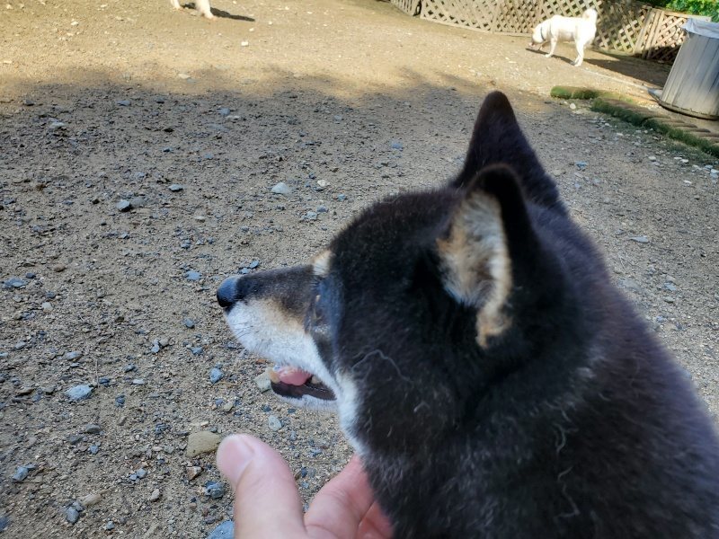 f:id:roukenhome-ann:20190907200410j:plain