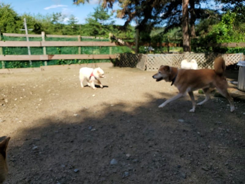 f:id:roukenhome-ann:20190907200426j:plain