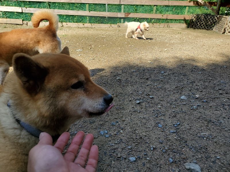 f:id:roukenhome-ann:20190907200440j:plain