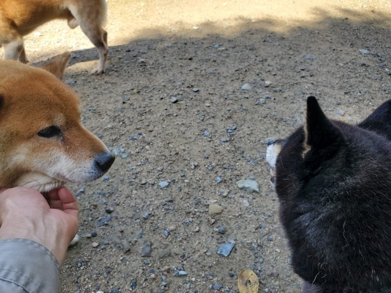 f:id:roukenhome-ann:20190907200459j:plain