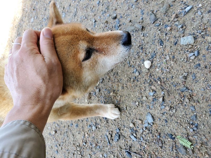 f:id:roukenhome-ann:20190907200506j:plain