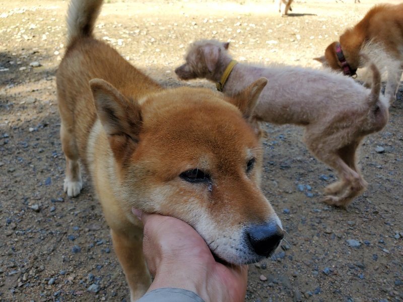 f:id:roukenhome-ann:20190907200512j:plain