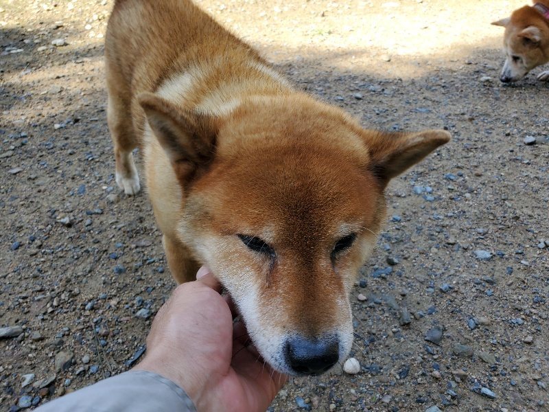 f:id:roukenhome-ann:20190907200520j:plain