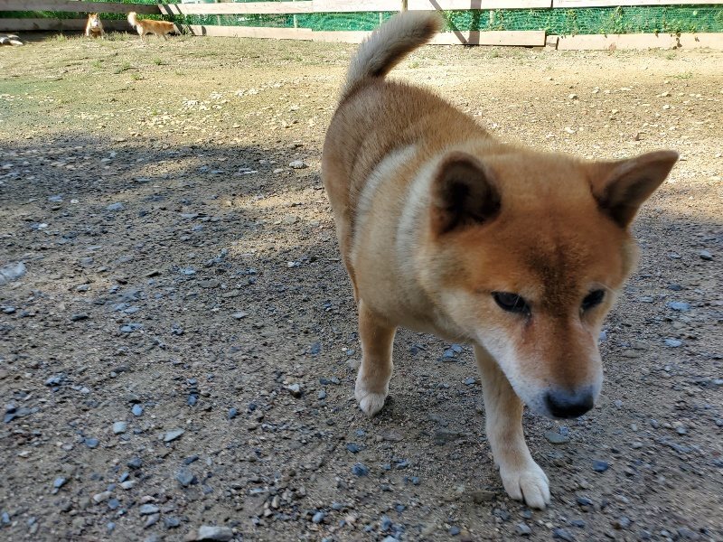 f:id:roukenhome-ann:20190907200527j:plain