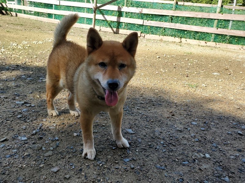 f:id:roukenhome-ann:20190907200537j:plain