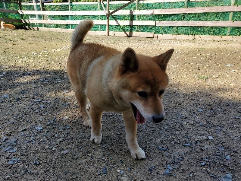 f:id:roukenhome-ann:20190907200549j:plain