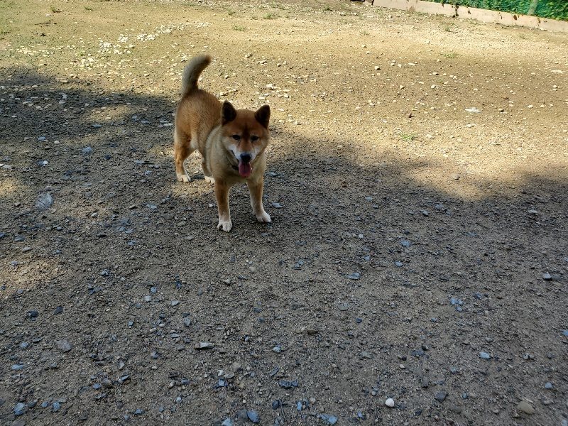 f:id:roukenhome-ann:20190907200559j:plain