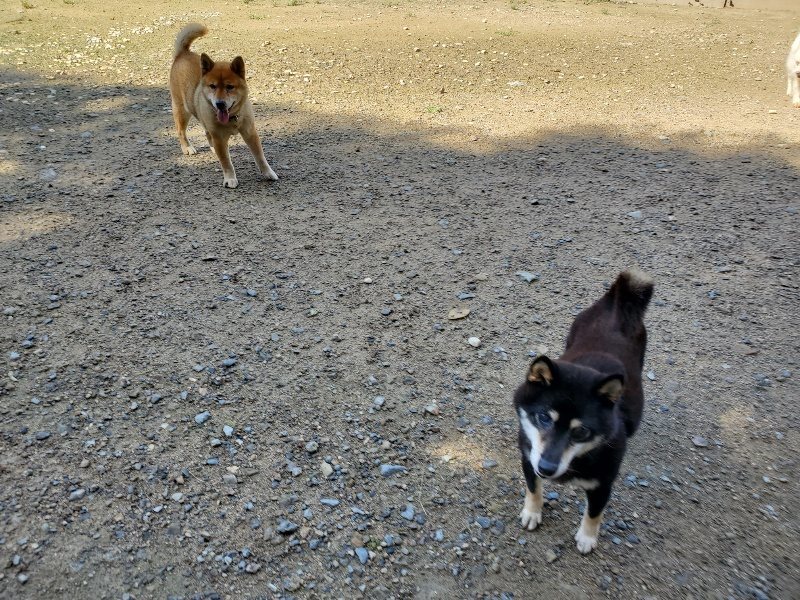 f:id:roukenhome-ann:20190907200610j:plain