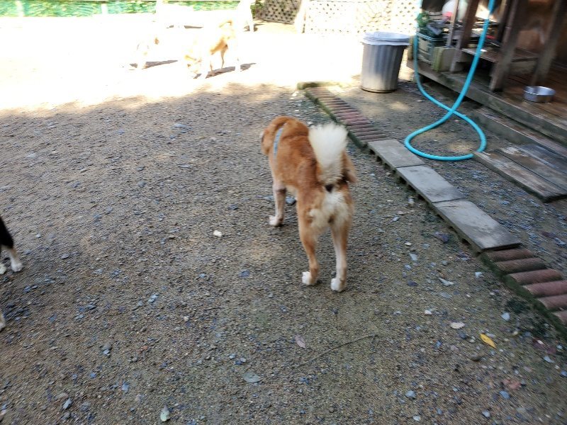 f:id:roukenhome-ann:20190907200626j:plain