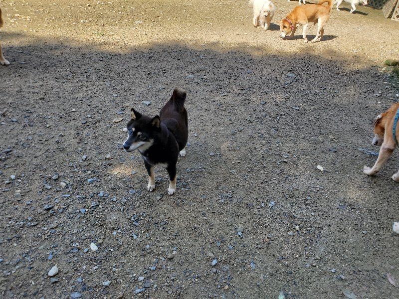 f:id:roukenhome-ann:20190907200634j:plain