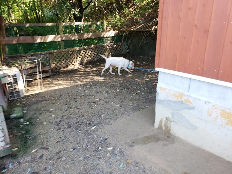 f:id:roukenhome-ann:20190907200641j:plain