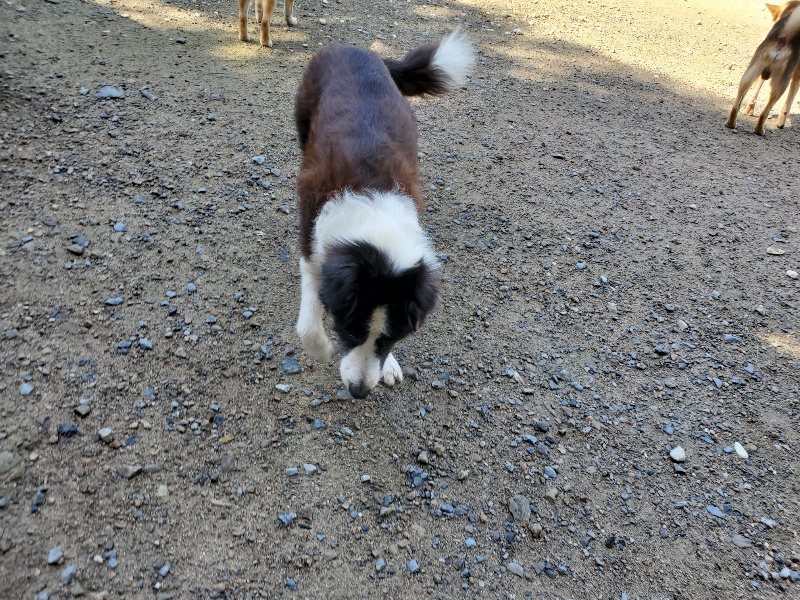 f:id:roukenhome-ann:20190907200707j:plain