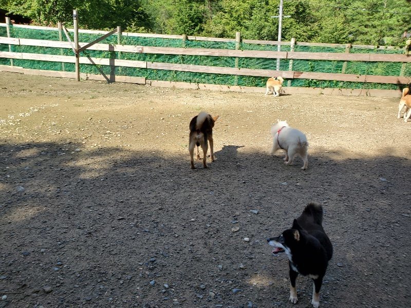 f:id:roukenhome-ann:20190907200748j:plain