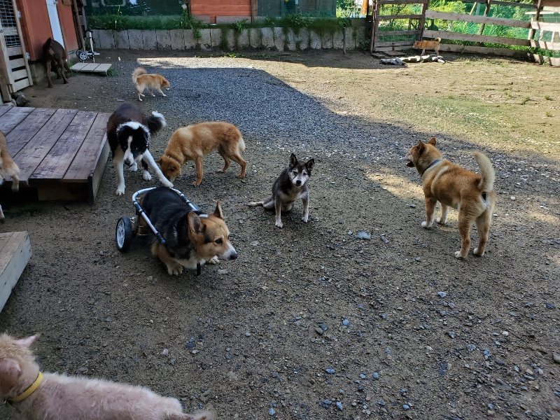 f:id:roukenhome-ann:20190907200815j:plain