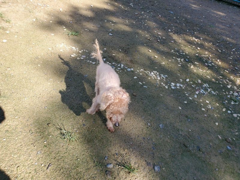 f:id:roukenhome-ann:20190907201101j:plain