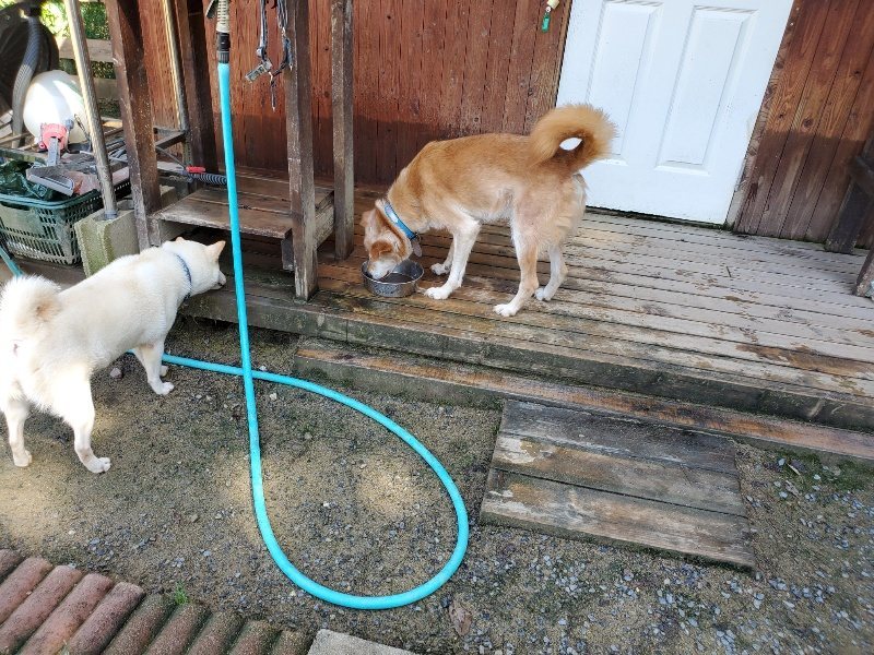 f:id:roukenhome-ann:20190907201129j:plain