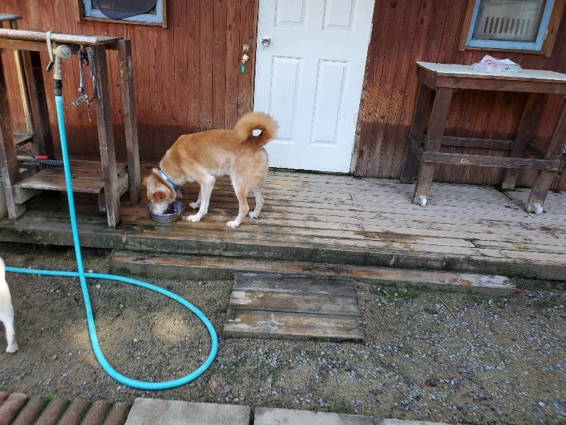 f:id:roukenhome-ann:20190907201141j:plain