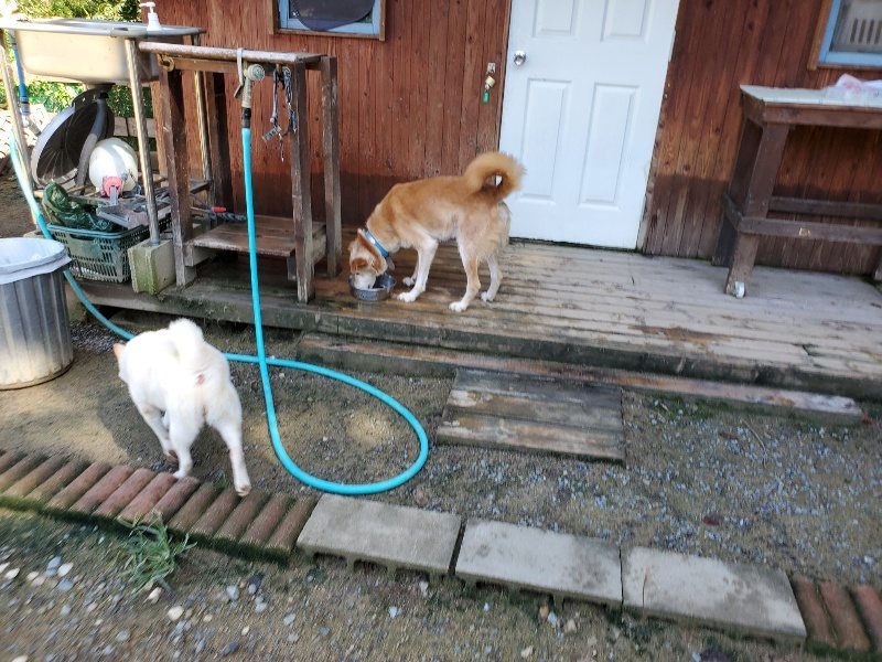 f:id:roukenhome-ann:20190907201158j:plain