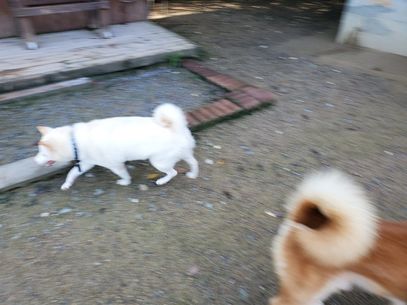 f:id:roukenhome-ann:20190907201205j:plain