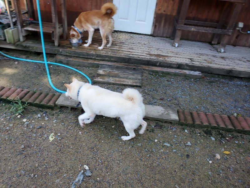f:id:roukenhome-ann:20190907201220j:plain