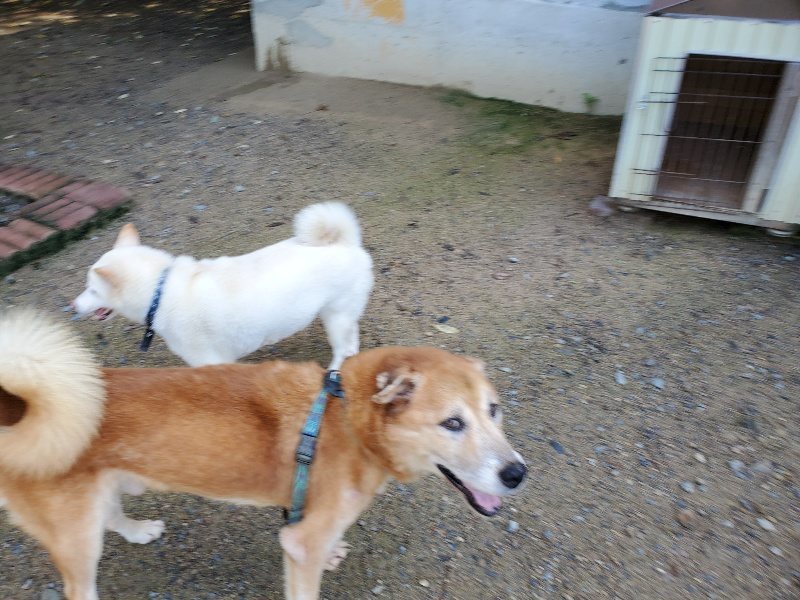 f:id:roukenhome-ann:20190907201231j:plain