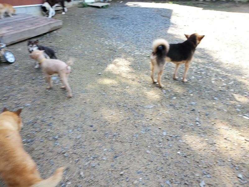 f:id:roukenhome-ann:20190907201241j:plain
