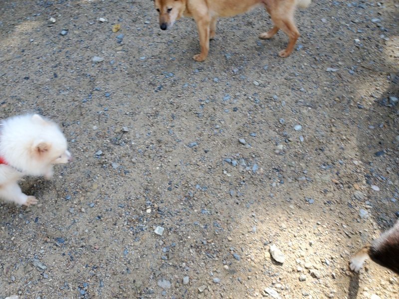 f:id:roukenhome-ann:20190907201319j:plain