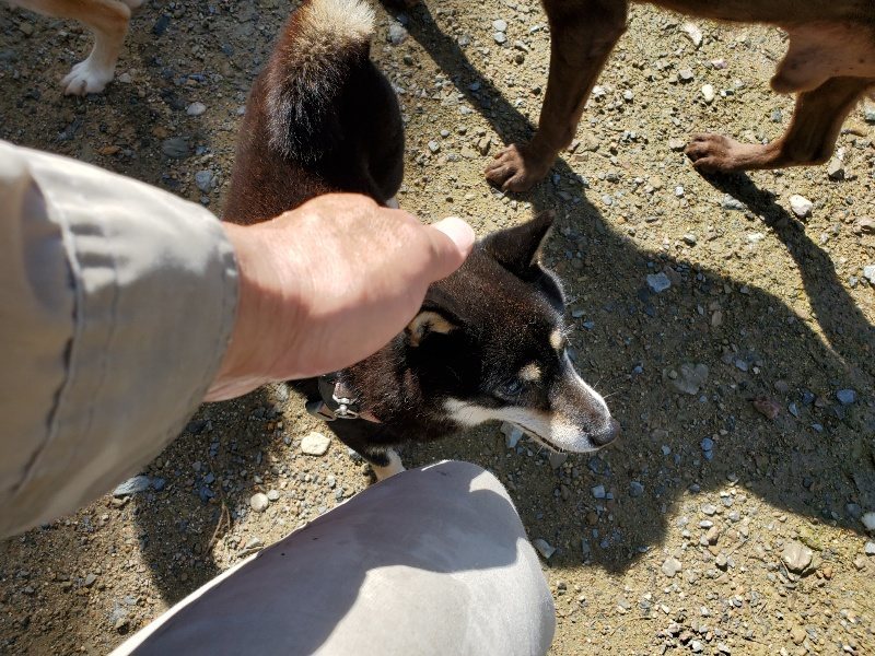 f:id:roukenhome-ann:20190907201350j:plain