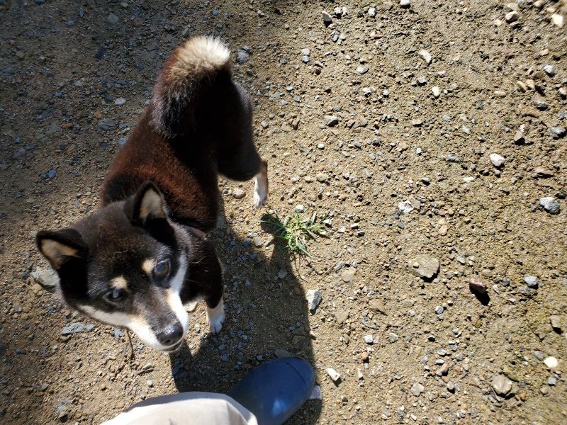 f:id:roukenhome-ann:20190907201402j:plain