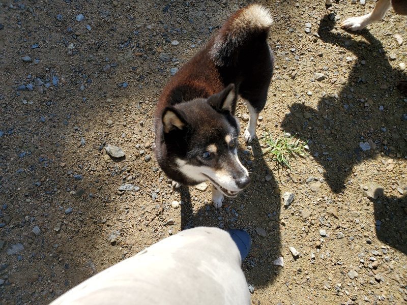 f:id:roukenhome-ann:20190907201416j:plain