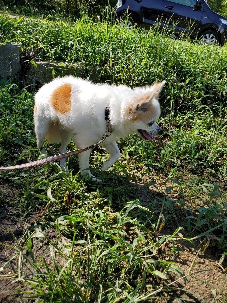 f:id:roukenhome-ann:20190907201452j:plain