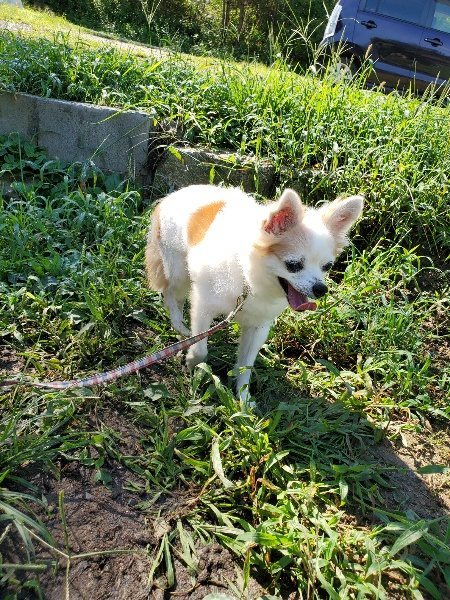 f:id:roukenhome-ann:20190907201513j:plain