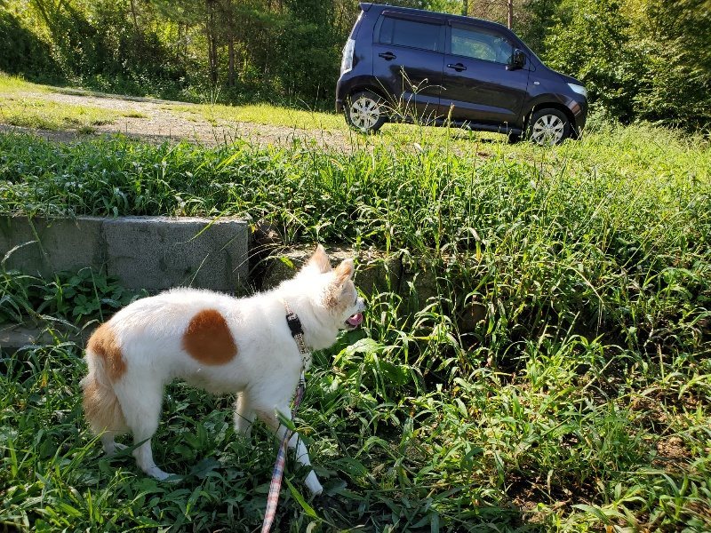 f:id:roukenhome-ann:20190907201522j:plain