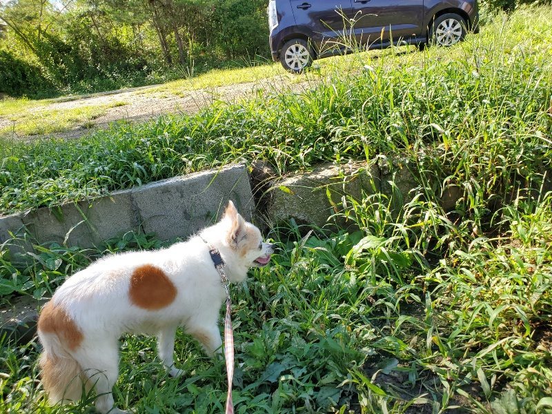 f:id:roukenhome-ann:20190907201536j:plain