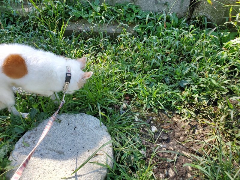 f:id:roukenhome-ann:20190907201547j:plain